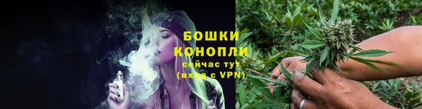 сатива Зерноград
