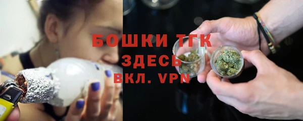 сатива Зерноград
