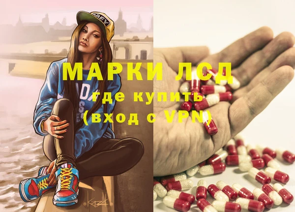 сатива Зерноград